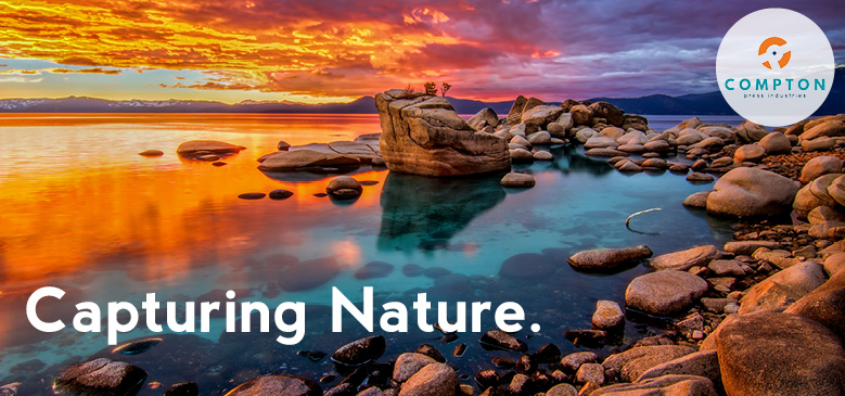 Put Your Cell Phone Away… Grab Your Camera For Some Fun!
